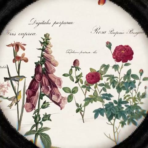 Beat 5: Botanical plate