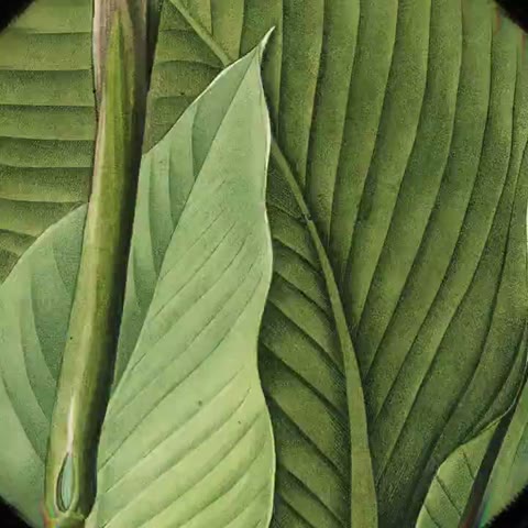 Beat 6: Leaf dive