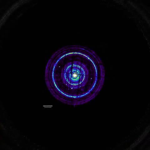 Beat 9: Micro world