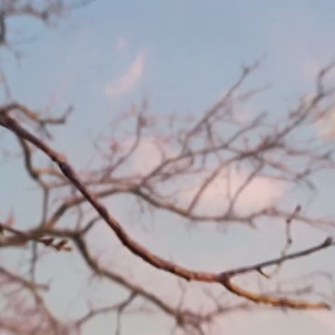 Beat 16: Branches