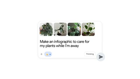 Beat 17: Plant infographic