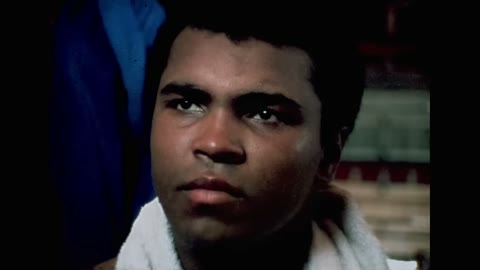 Beat 4: Boxer