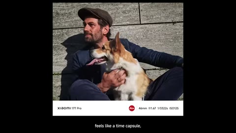 Beat 34: Corgi