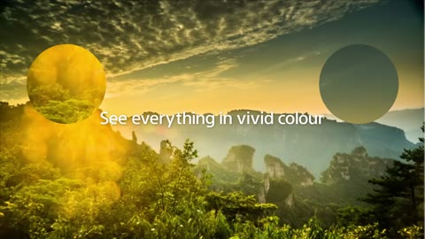 Beat 9: Vivid colour forest