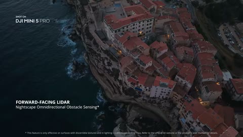Beat 7: Runners and woods
