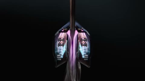 Beat 5: End-on view