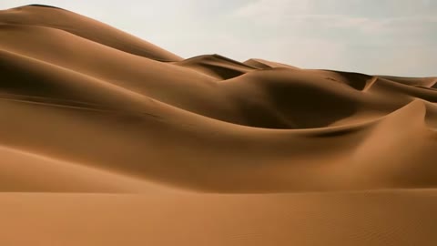 Beat 2: Monogram on dunes