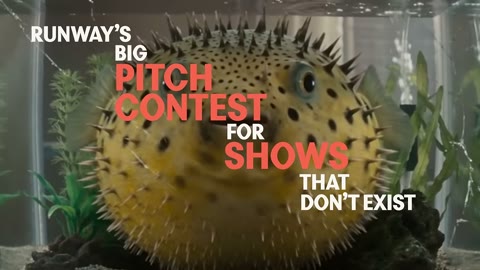 Beat 4: Pufferfish title start