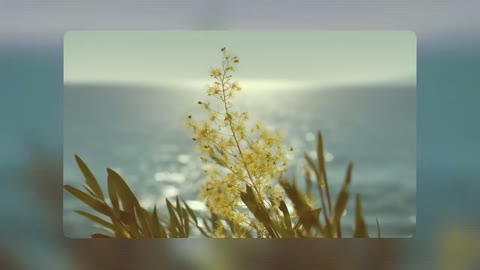 Beat 13: Editor