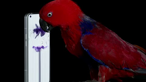 Beat 10: Red bird nudges screen