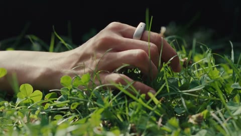 Beat 13: Hand in grass