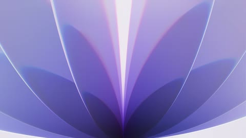 Beat 1: Petals