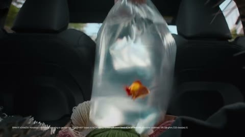 Beat 2: Fish bag lifted