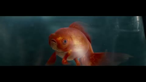 Beat 21: Dog and fish clips