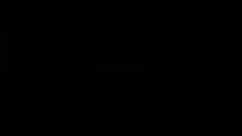Beat 17: Logo fade