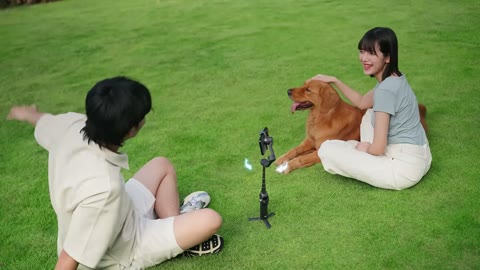 Beat 6: Park with dog