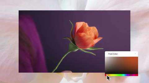 Beat 9: BRRCH.COM
