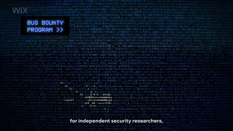 Beat 27: Bug bounty