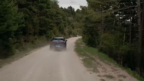 Beat 18: Forest and track