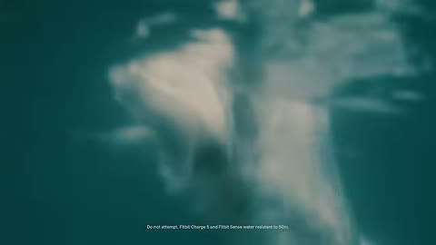 Beat 9: Diver