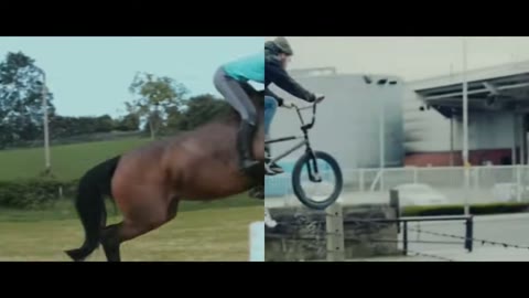 Beat 10: Horse and BMX