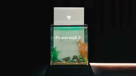 Beat 2: Tank reveal