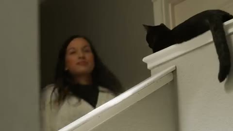 Beat 2: Cat