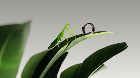 Beat 16: Exploded ring
