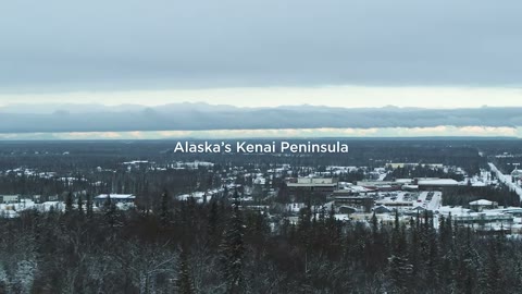 Beat 2: Kenai town