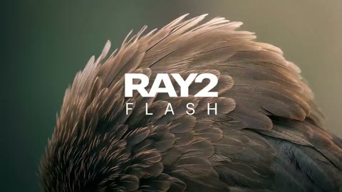 Beat 14: Feathers