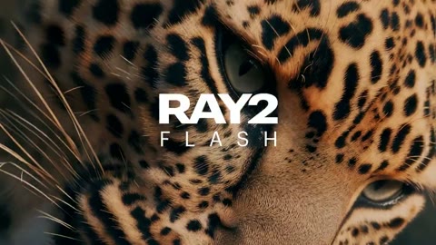 Beat 15: Leopard eye