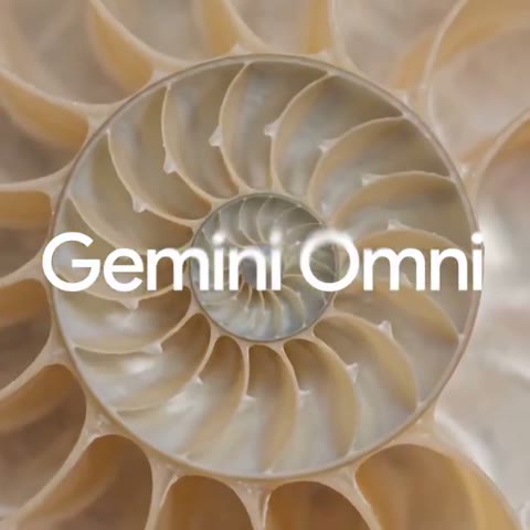 Beat 2: Nautilus