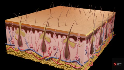 Beat 1: Skin block