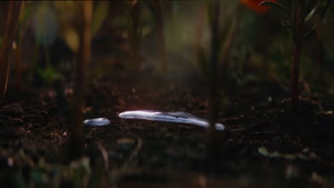 Beat 6: Silver puddle
