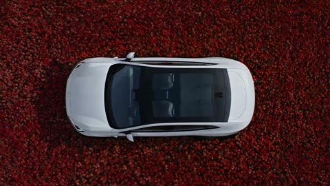 Beat 26: Car front