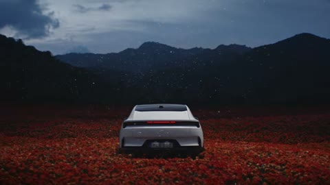 Beat 29: Polestar mark