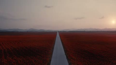 Beat 32: Straight road