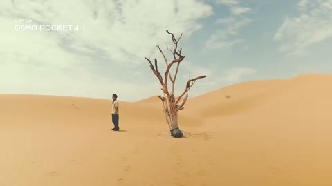 Beat 5: Man by tree