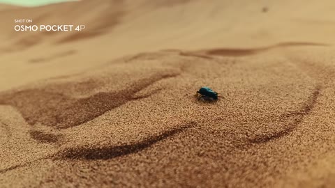 Beat 7: Sand and boots