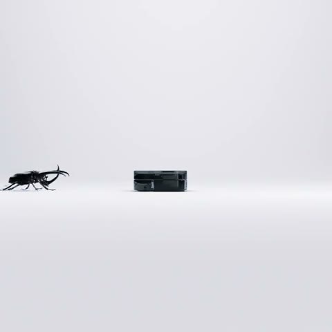 Beat 1: Beetle enters