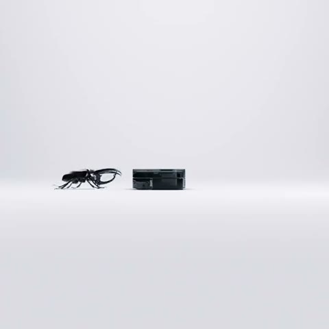 Beat 2: Approach
