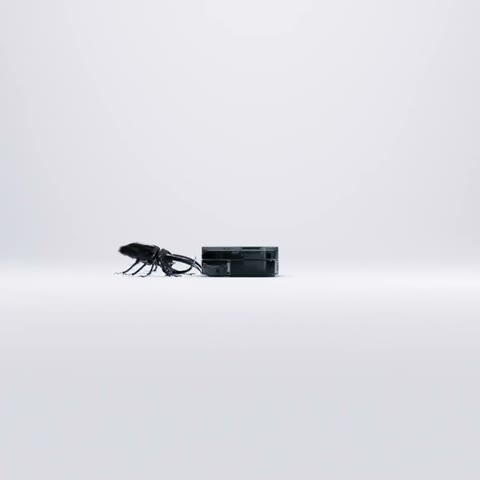 Beat 3: Push