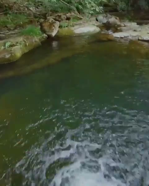 Beat 1: Rock pool