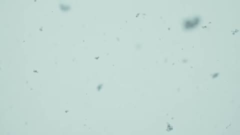 Beat 5: Snowflakes