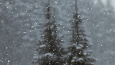 Beat 41: Snowfall outro