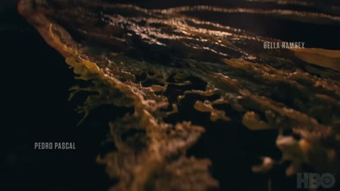 Beat 2: Mycelium drift