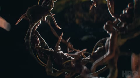 Beat 9: Red tendrils