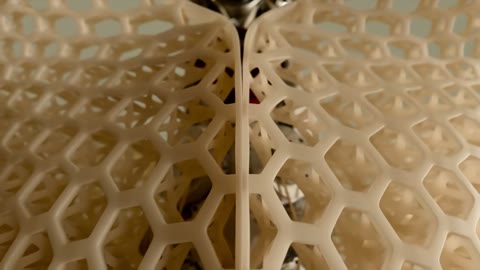 Beat 7: Lattice closes