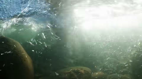 Beat 2: Underwater