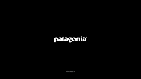 Beat 15: Patagonia logo